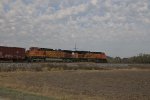 BNSF 5219 Roster